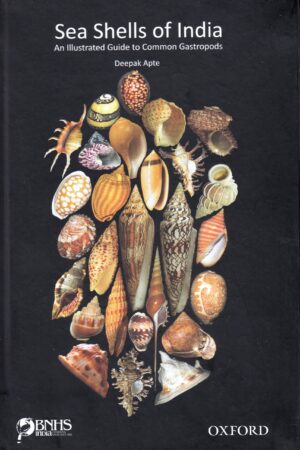 Sea Shells of India by Deepak Apte