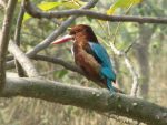 Yamuna Biodiversity Park, New Delhi