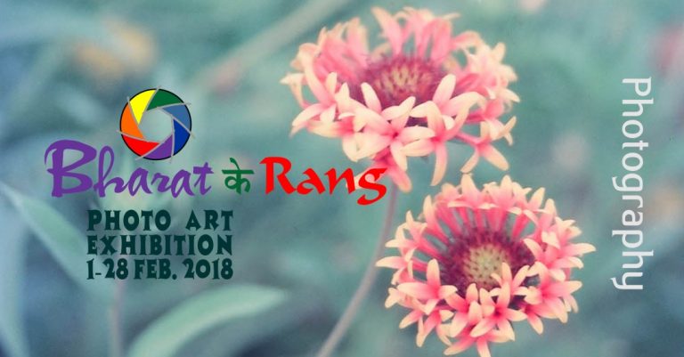 Bharat Ke Rang Photo Art Show 2018, Anand Foundation