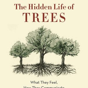 the hidden life of trees